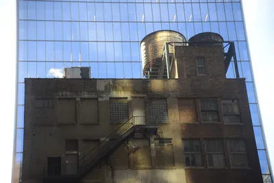 DSC_1315 (Large).JPG